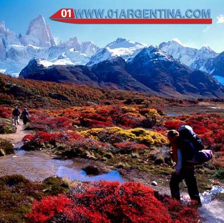 National Park Tierra del Fuego