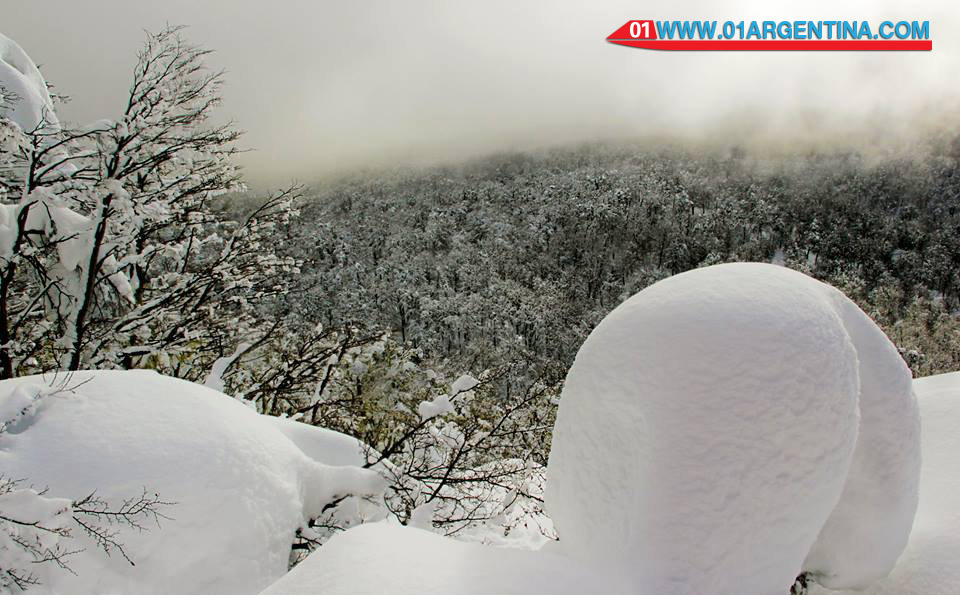 Winter in patagonia