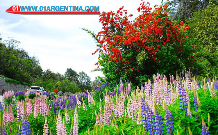 Spring in patagonia